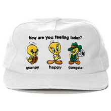 Load image into Gallery viewer, Moods Hat
