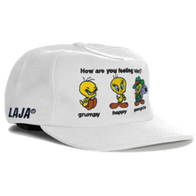 Load image into Gallery viewer, Moods Hat
